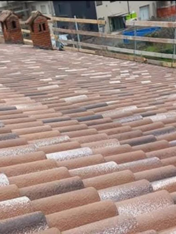 PHOTO-2024-12-09-21-05-23 (2)