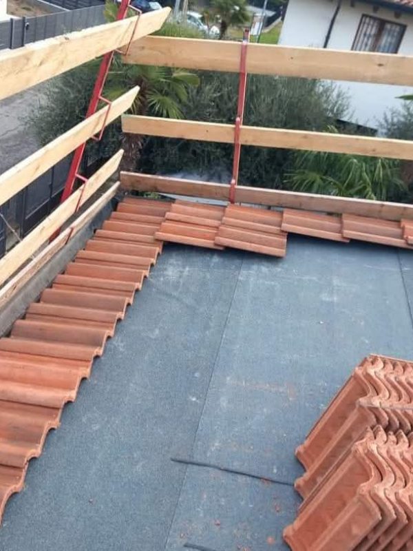 PHOTO-2024-12-11-12-01-17 (1)