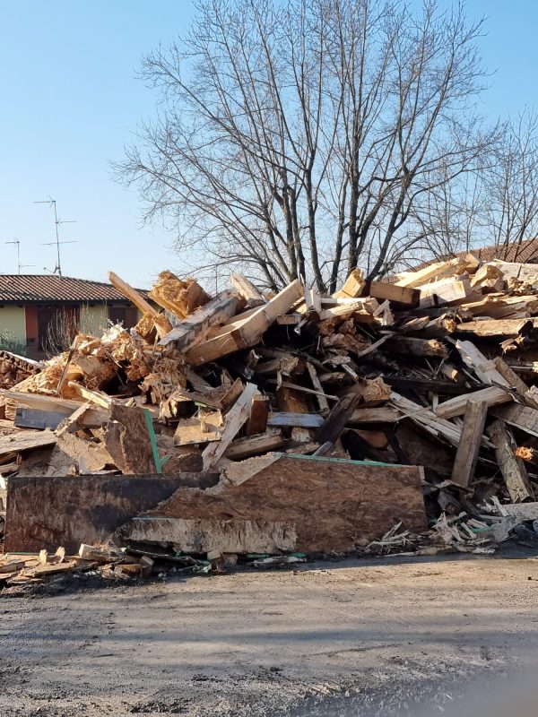 WhatsApp Image 2024-12-11 at 13.47.31